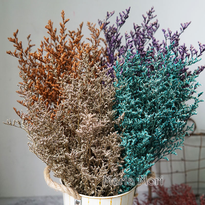 70 กรัม/ดอกลิโมนีอุมะ (หญ้าวาเ - Dried Flower Bulk บทวิจารณ์และราคา