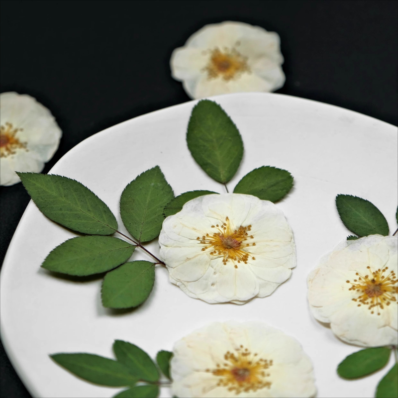 ดอกกุหลาบแห้งธรรมชาติสีขาว 6 ช - Dried Flower Bulk บทวิจารณ์และราคา